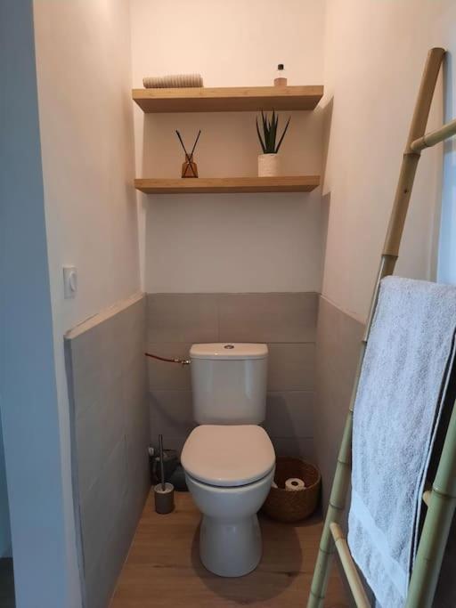 Les Appartements - Canal Du Midi Carcassonne Zewnętrze zdjęcie