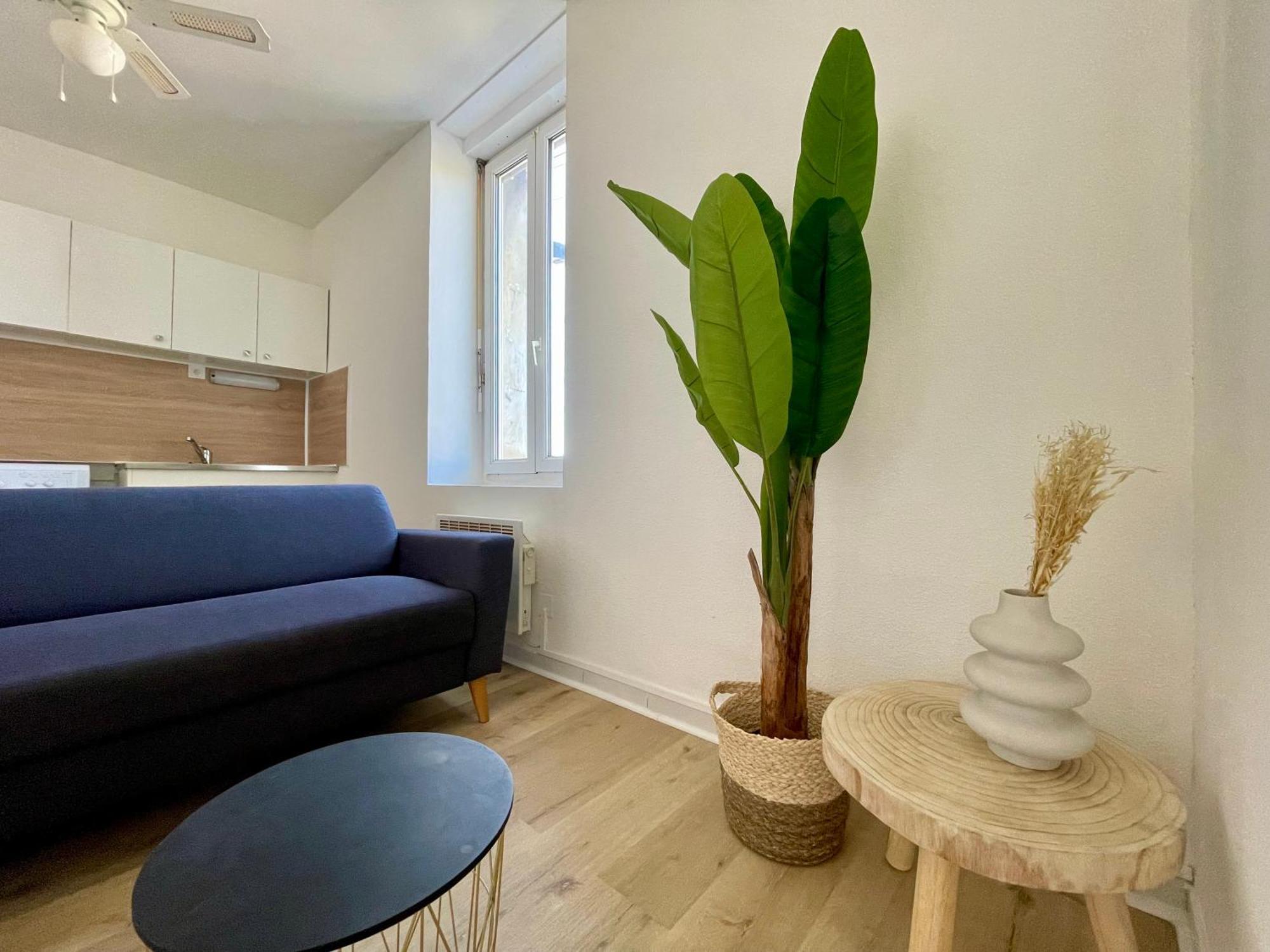 Les Appartements - Canal Du Midi Carcassonne Zewnętrze zdjęcie